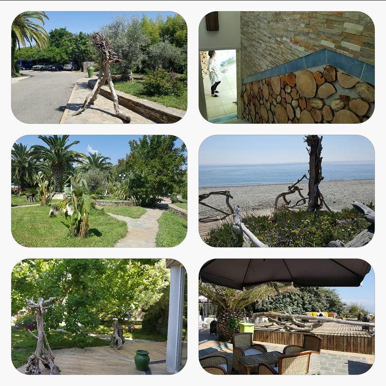 Hotel Levolle Marine Poggio Mezzana Esterno foto