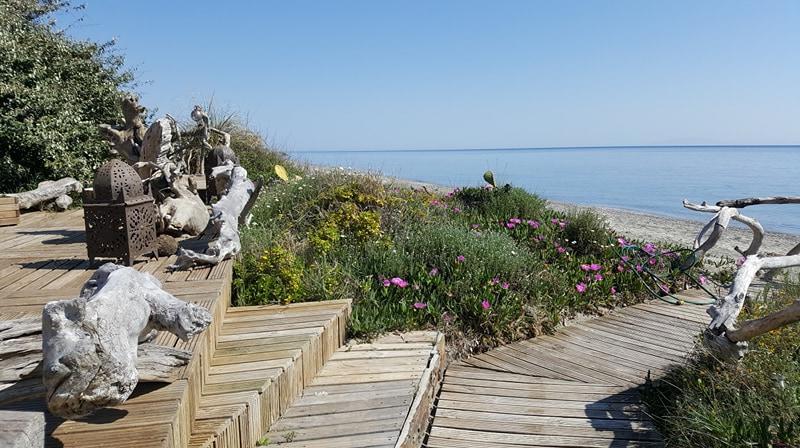 Hotel Levolle Marine Poggio Mezzana Esterno foto